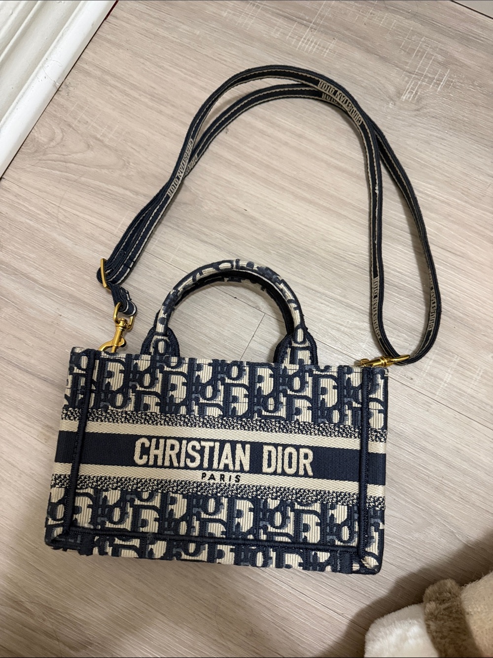 Beige and Navy Oblique Canvas Tote with Strap